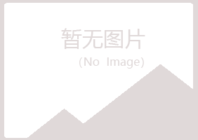 共和县山柳咨询有限公司